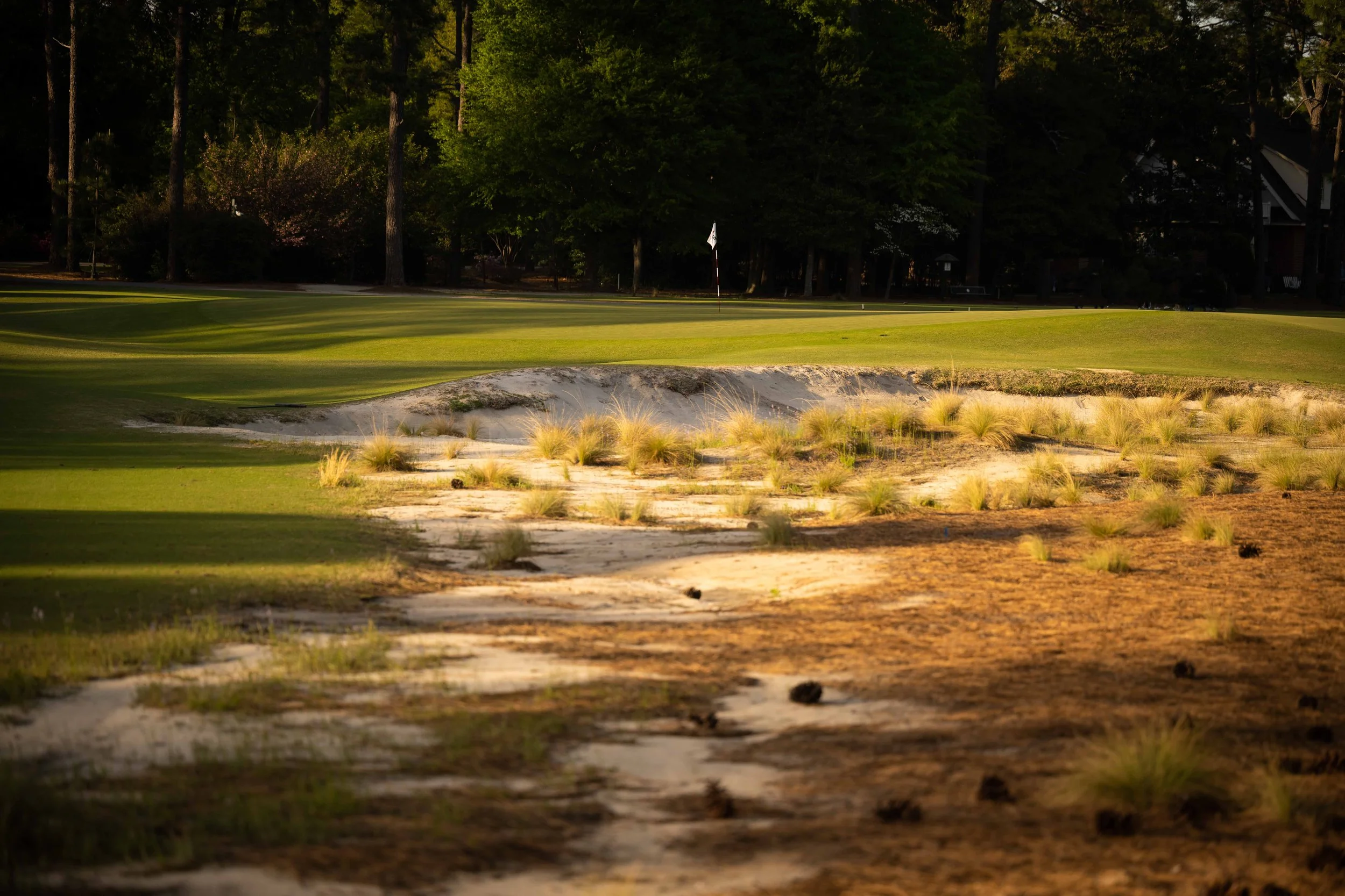 Pinehurst No. 2 — PJKoenig Golf Photography